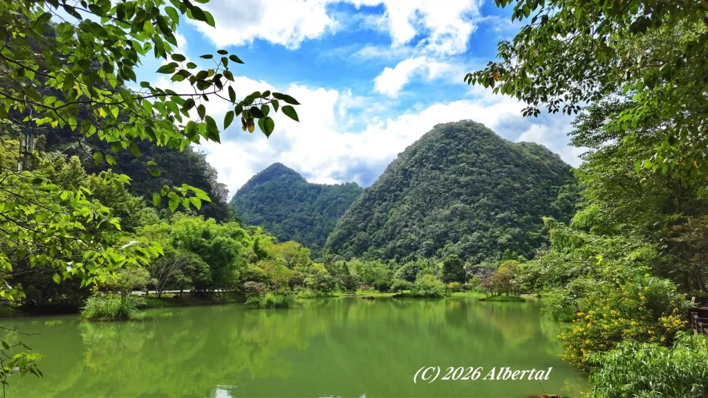 Laguan Wetland