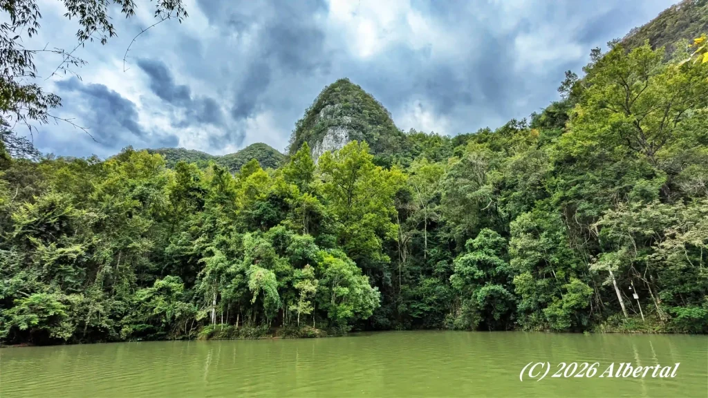 Wolong Pool